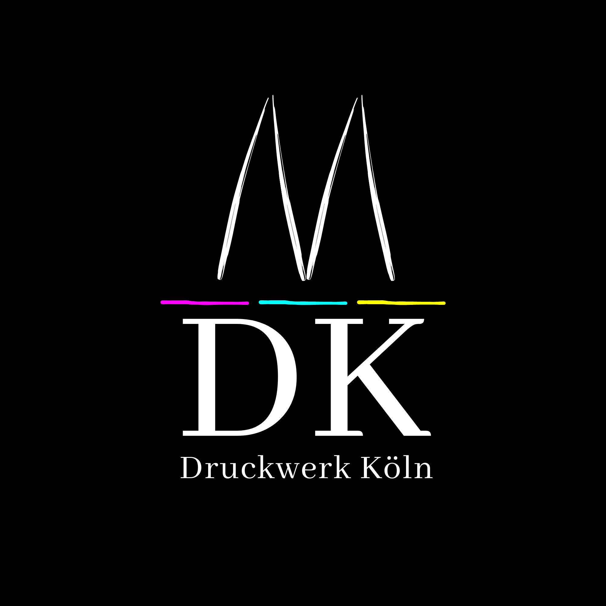 Logo Duckwerk PNG